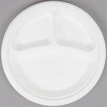 Plate Styrofoam 9