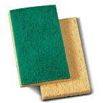 Sponge Scrubber 